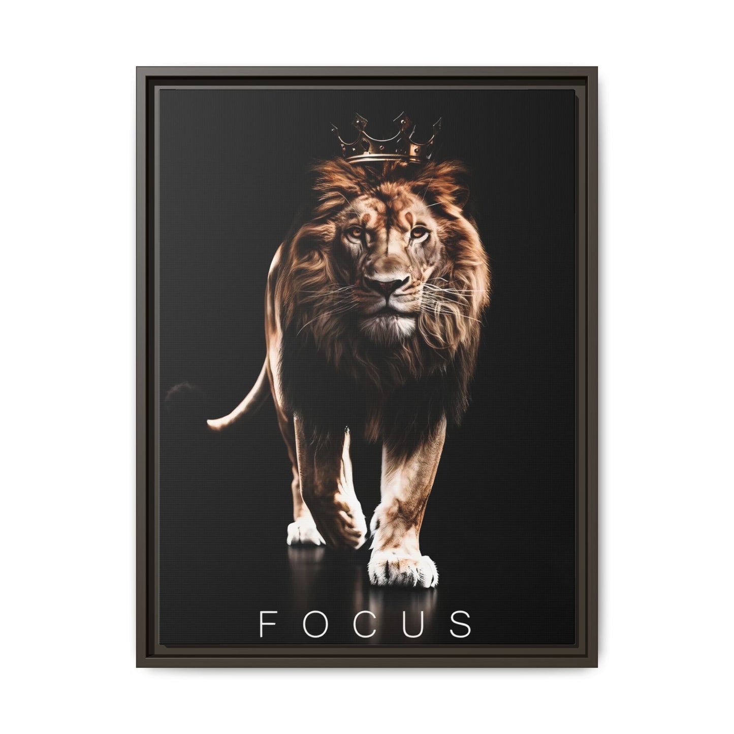 FOCUS