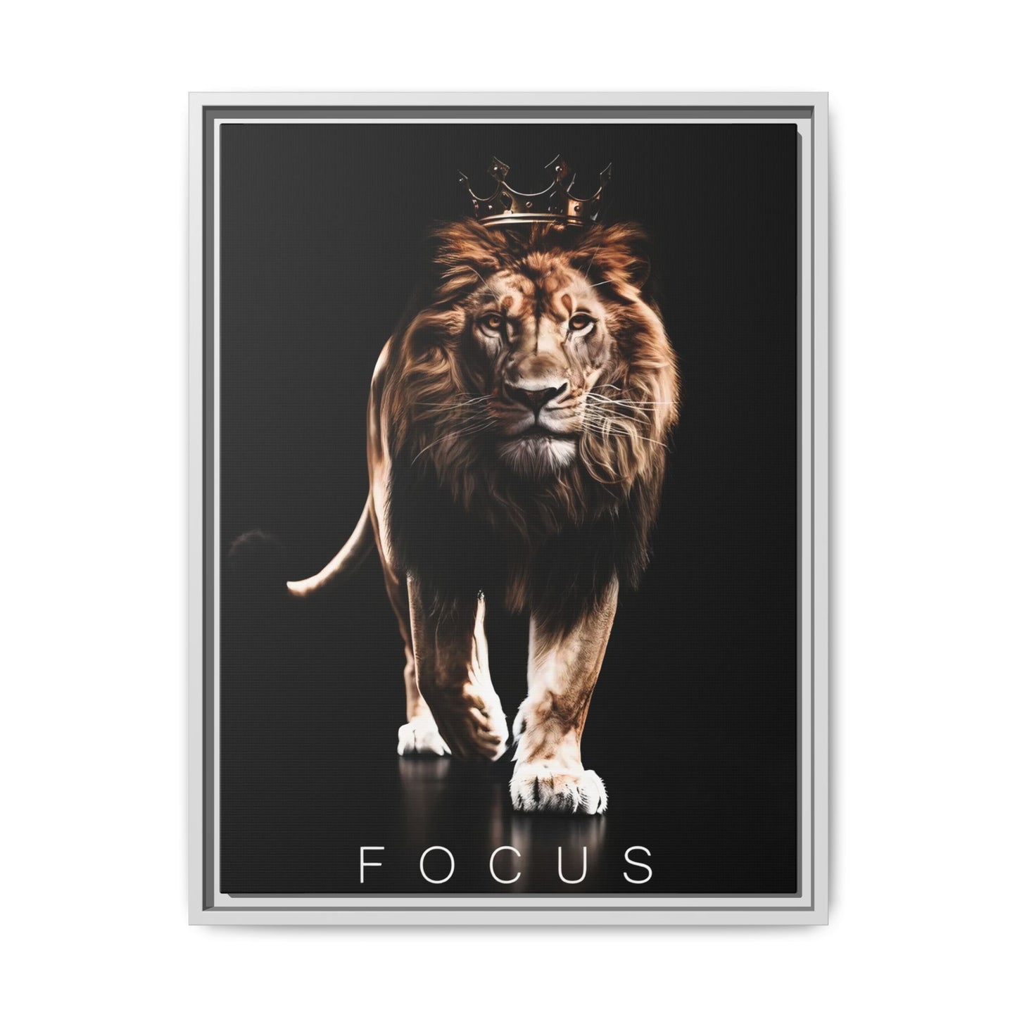 FOCUS