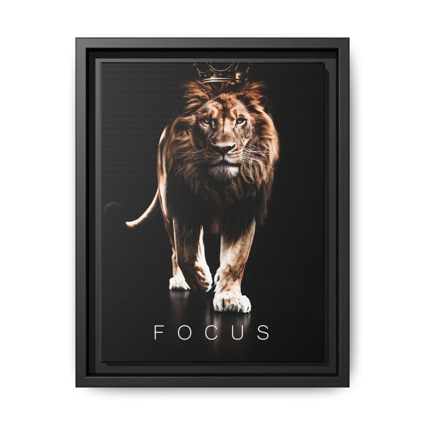 FOCUS